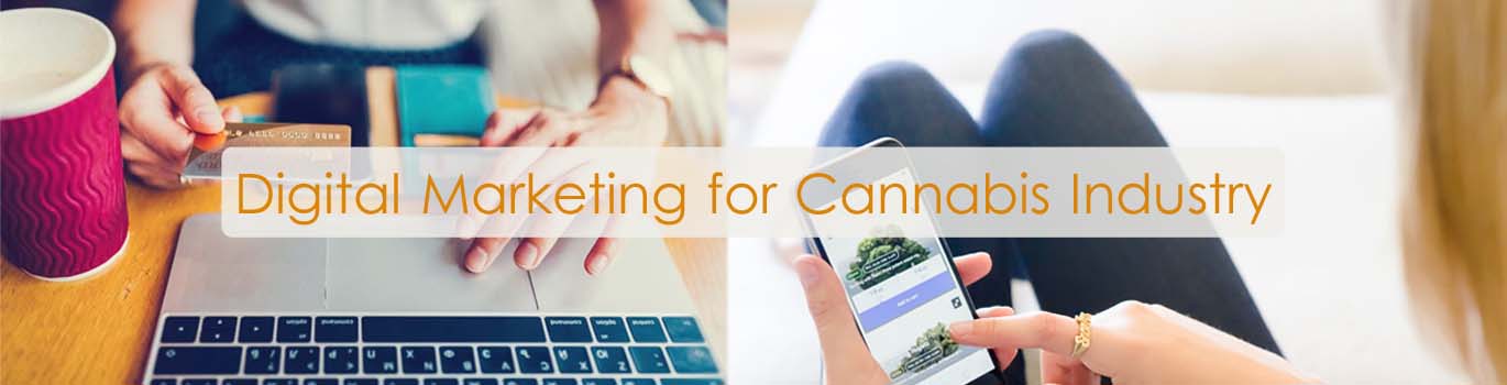 Cannabis Digital Marketing